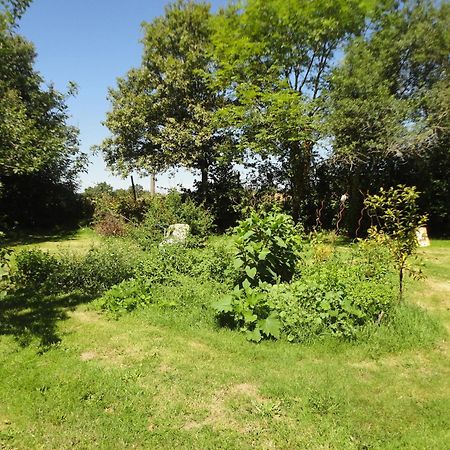 Tranquille Vienne Gites A Chirac Dept Charente Extérieur photo