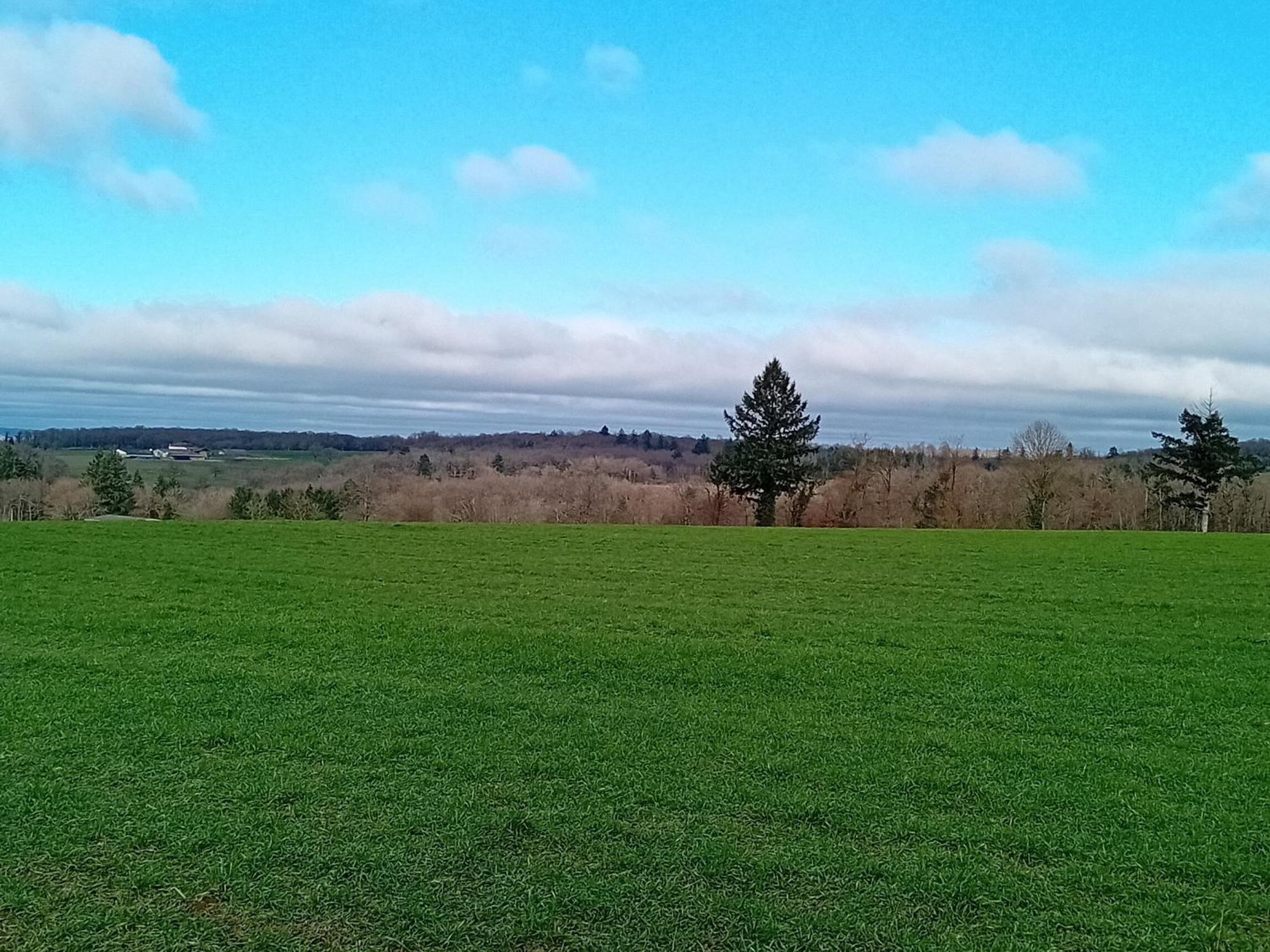 Tranquille Vienne Gites A Chirac Dept Charente Extérieur photo
