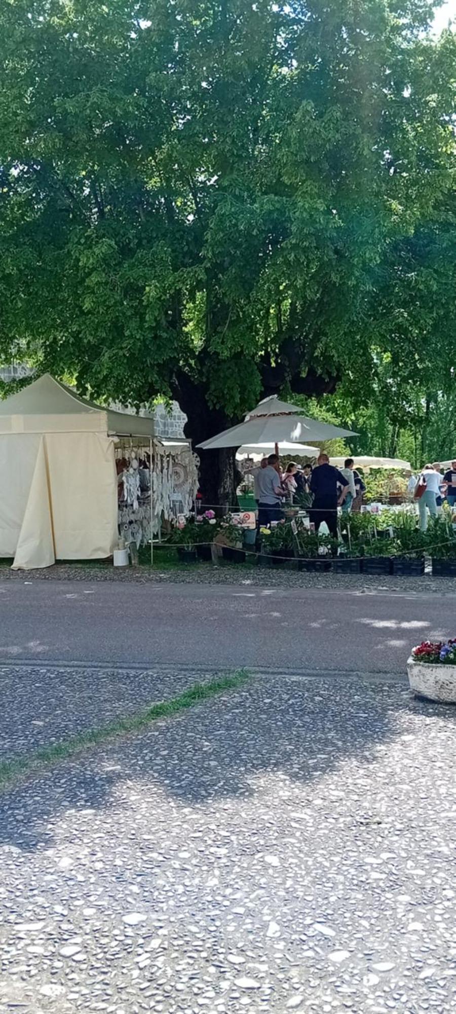 Tranquille Vienne Gites A Chirac Dept Charente Extérieur photo